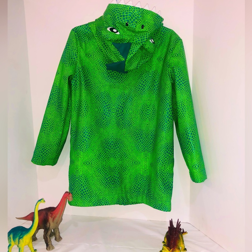Super cool 😎 rain coat. Color green, with dinosaur or lizard design, you decide